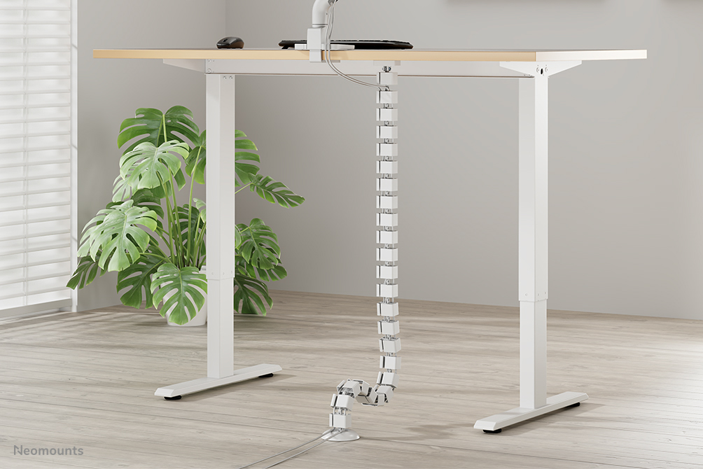 Neomounts ADS06-132WH Spina vertebrale - fissaggio magnetico - universale